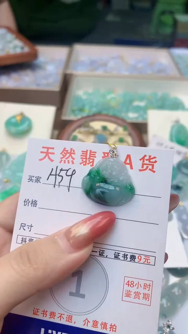 颈饰未镶嵌翡翠天然A货翡翠挂件