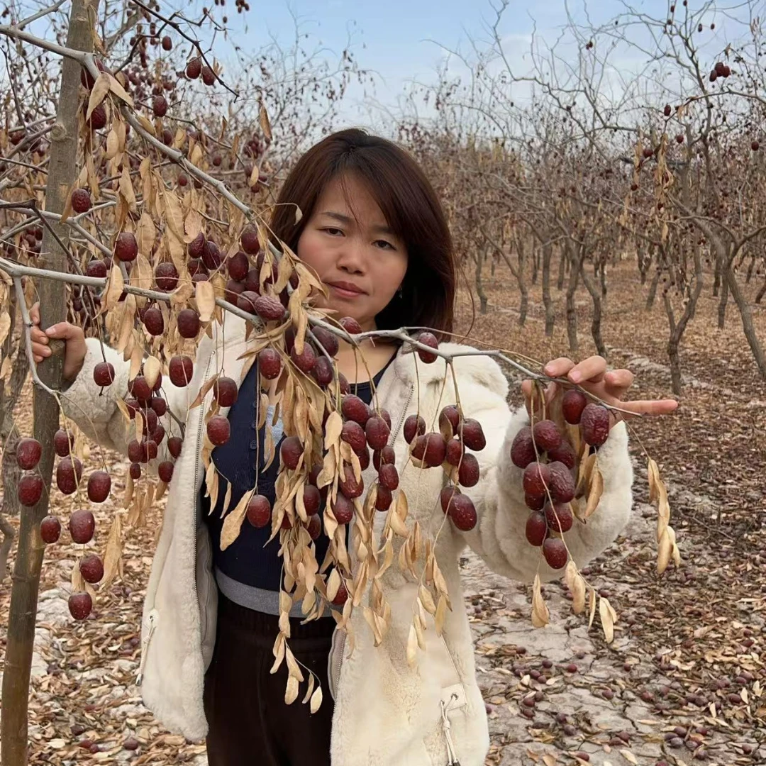 新疆麦盖提灰枣，灰枣爷爷，颗大饱满，皮薄肉厚。