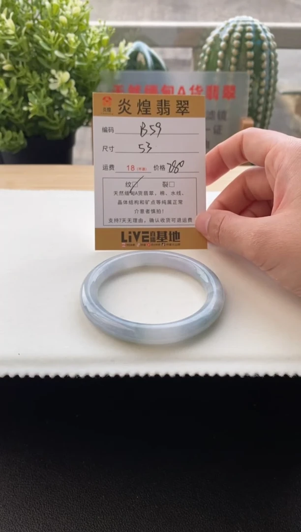 未镶嵌手镯翡翠53.3圈口编码B59