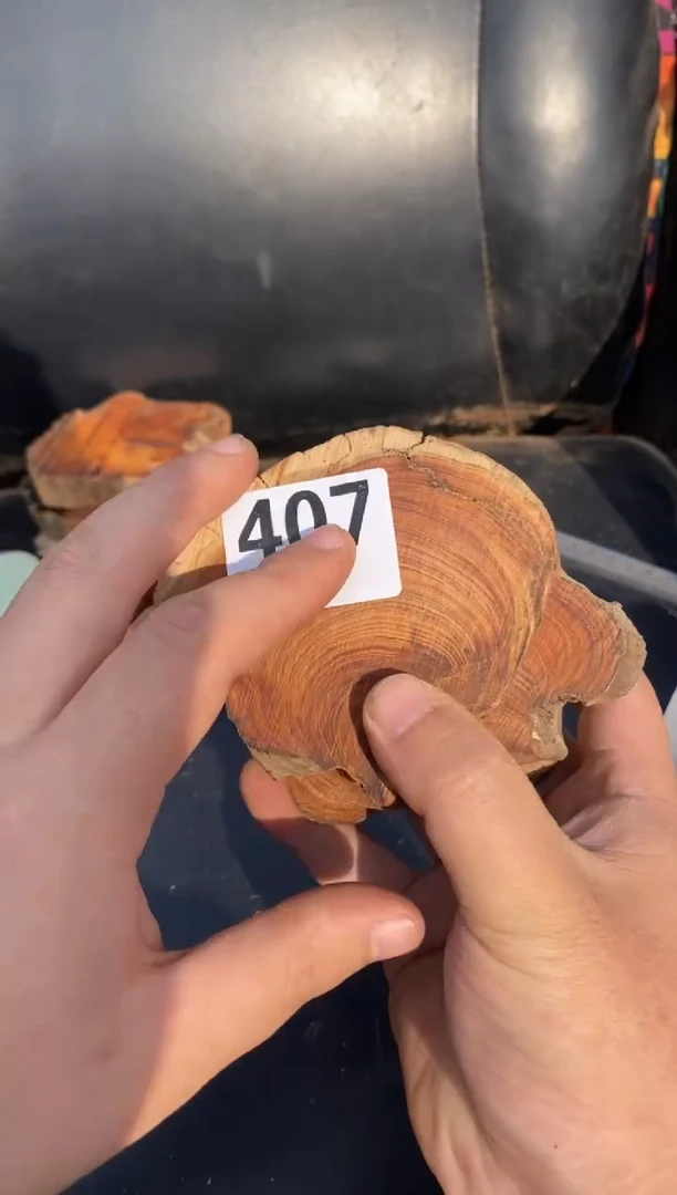 柏木（崖柏）太行陈化崖柏！随机（1单1片）407