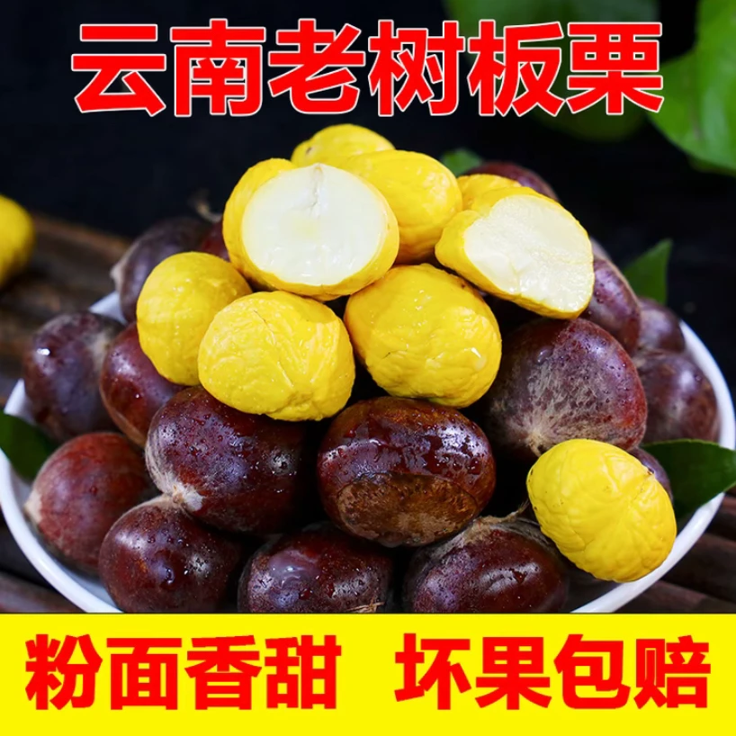 云南高山老品种板栗现摘新鲜好剥皮粉面香糯2025年新果mzx