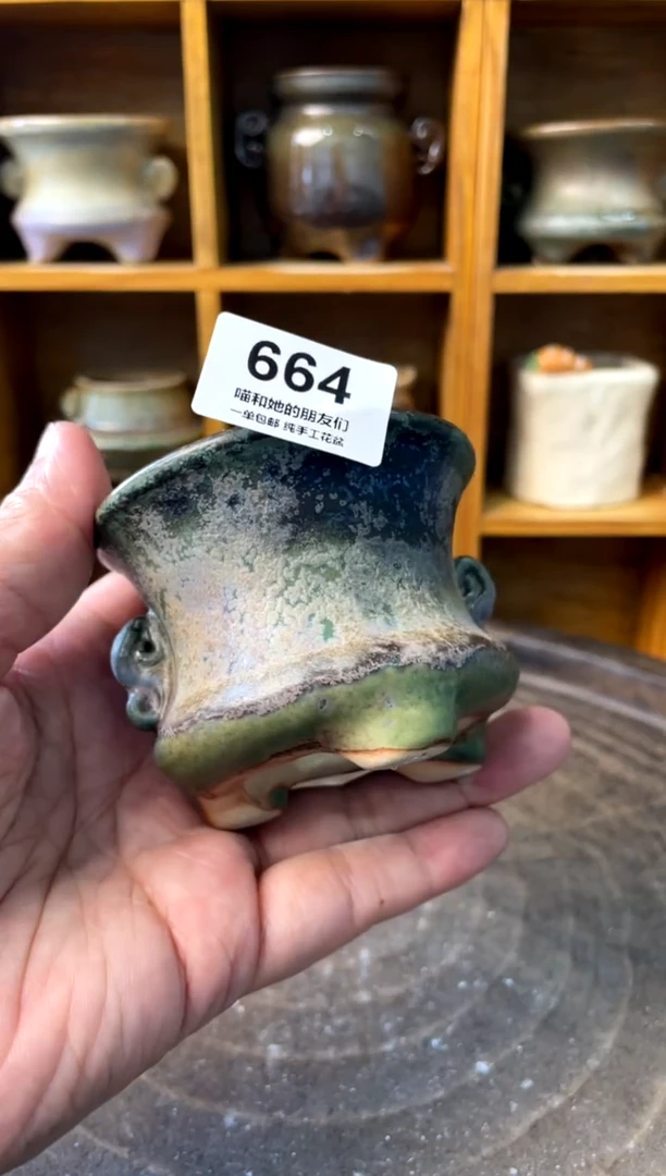 664【多肉花盆多肉盆】