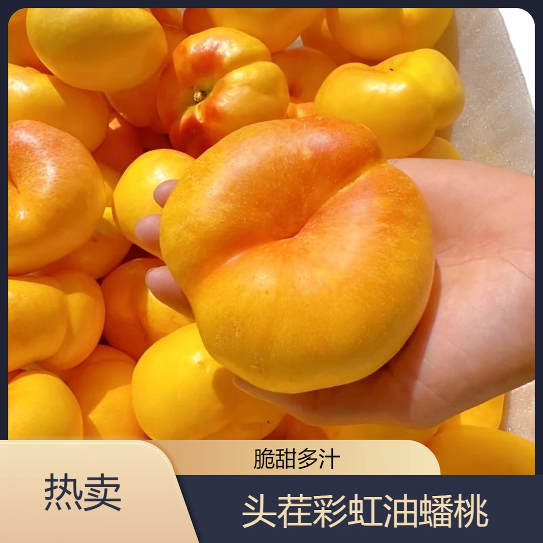 彩虹油蟠桃黄金应季水果皮薄甜嫩多汁整箱新鲜包邮