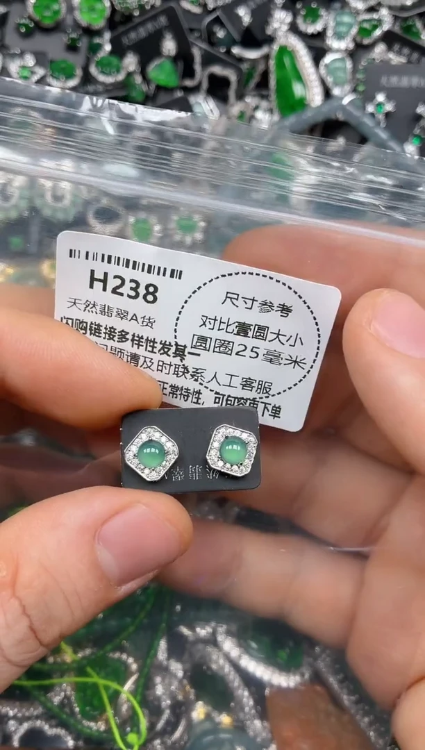 颈饰未镶嵌翡翠H238耳钉