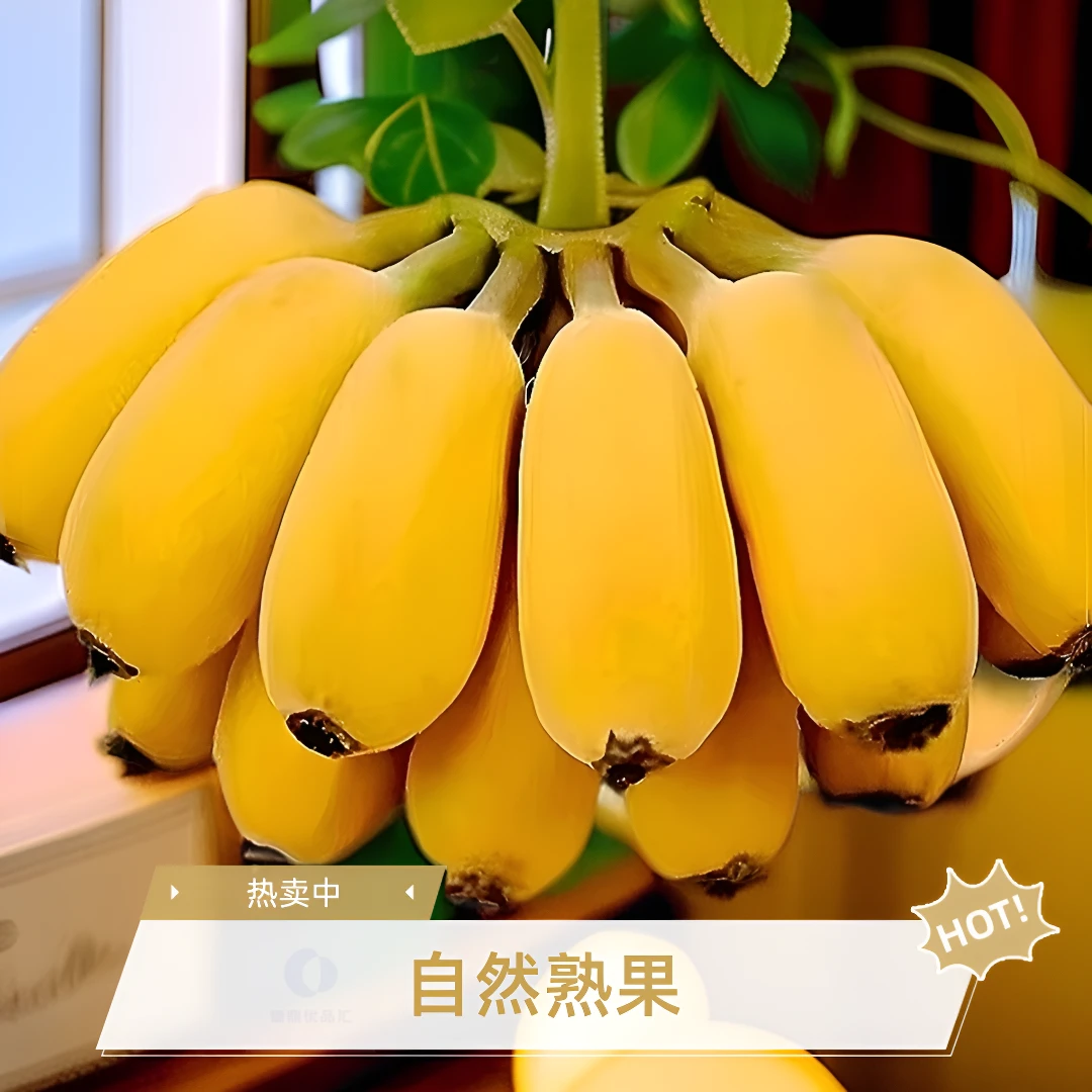 自然熟水果苹果蕉甜糯正宗当季苹果粉蕉香甜香蕉大果新鲜现摘包邮