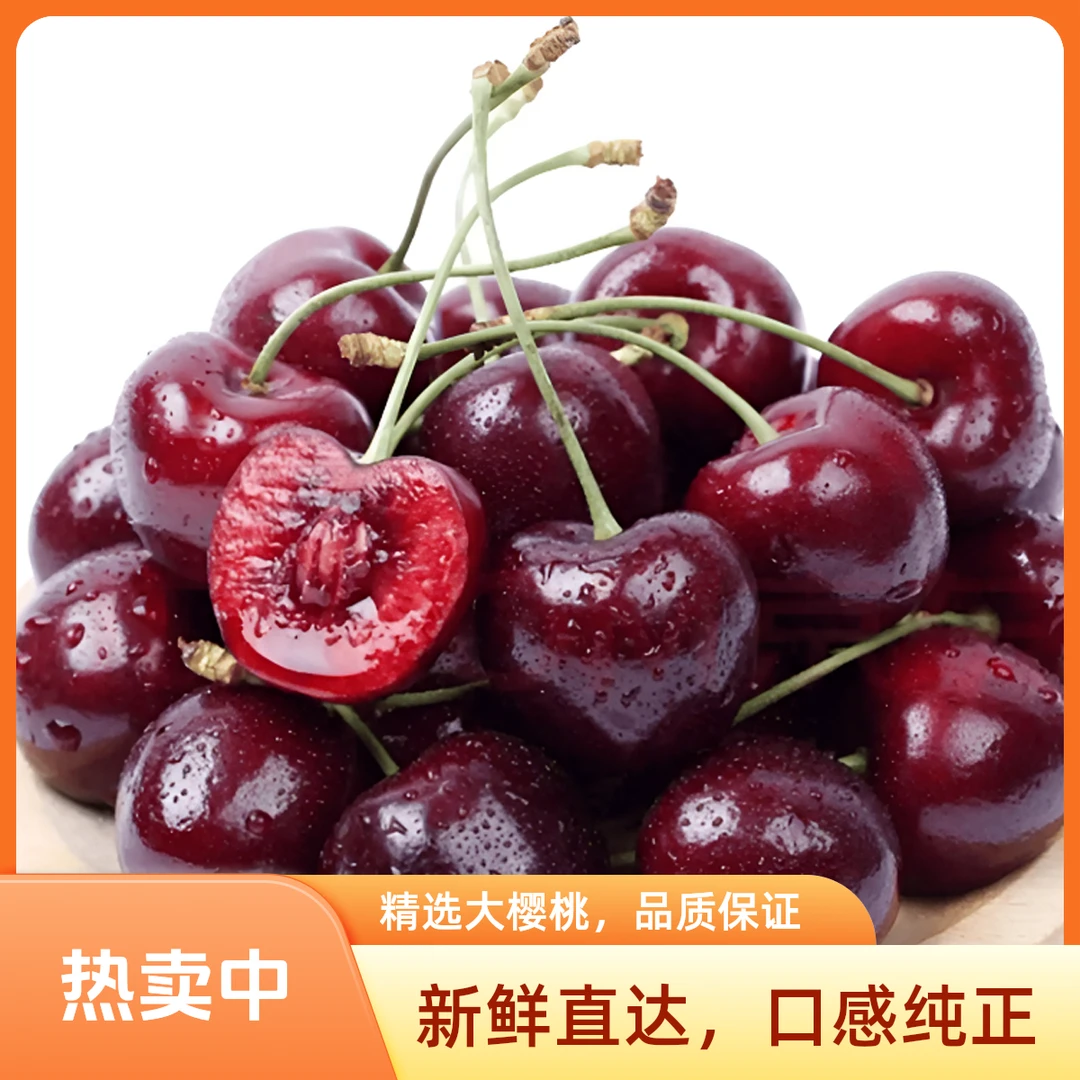 智利桑提娜 2JD车厘子2.5kg