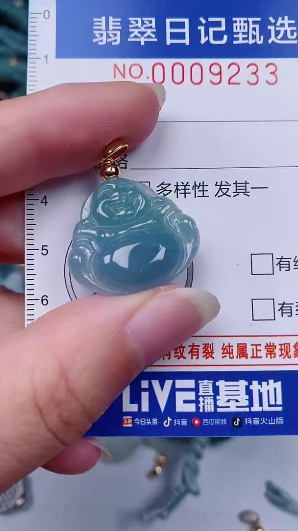 翡翠未镶嵌颈饰00009233