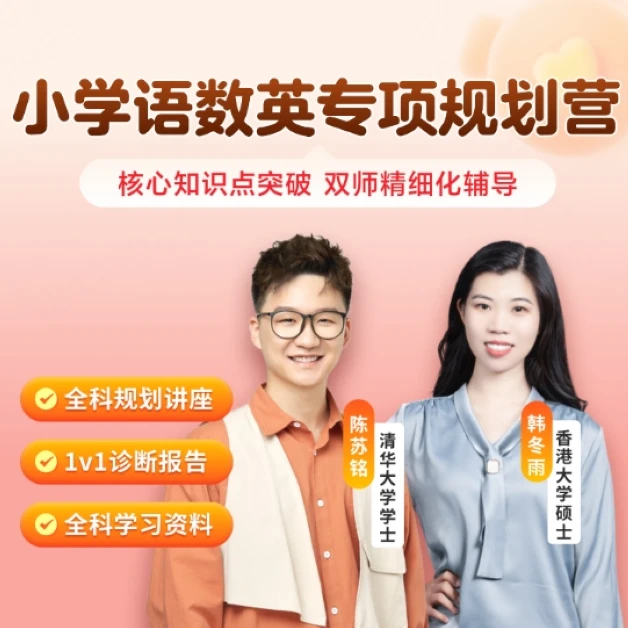 GT 小学语数英专项规划营