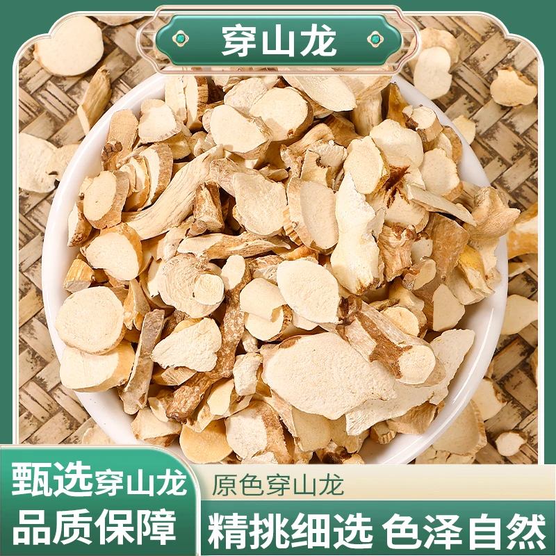 正品精选好货穿山龙