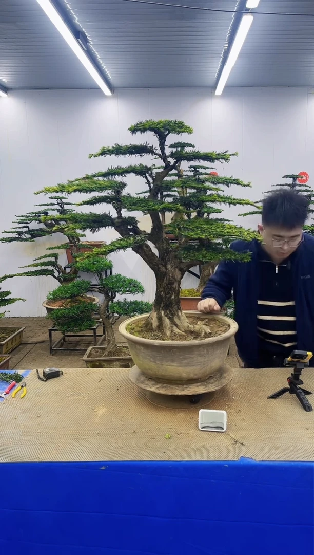 完全开放一物一拍，所见即所得