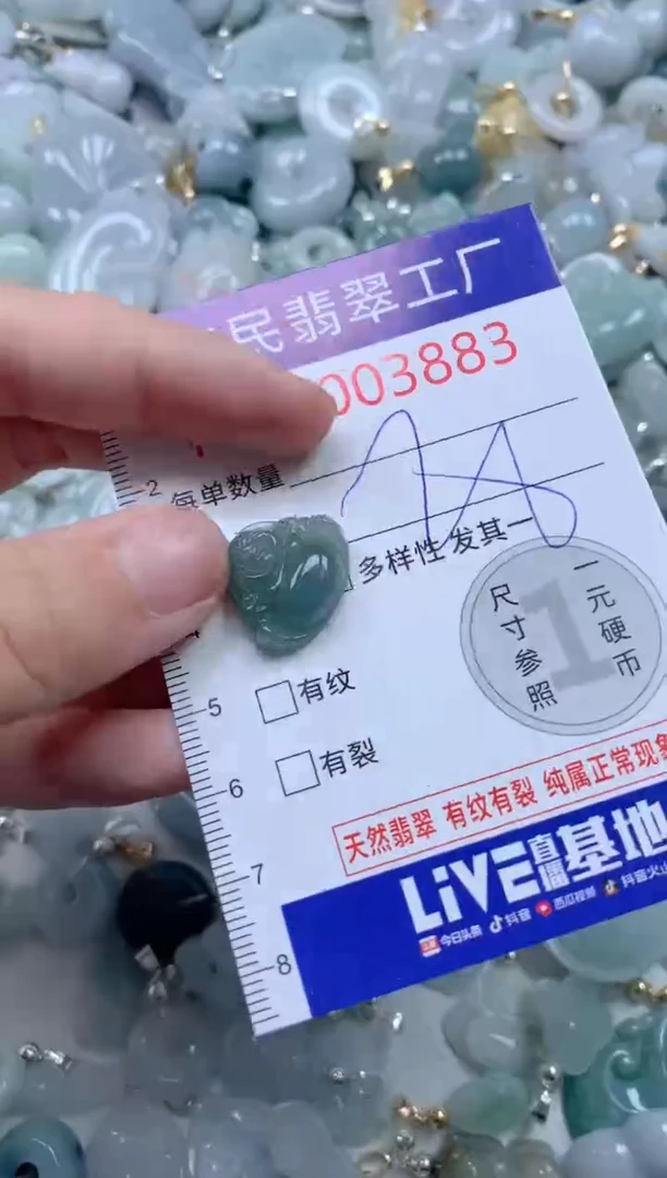 颈饰未镶嵌翡翠3883