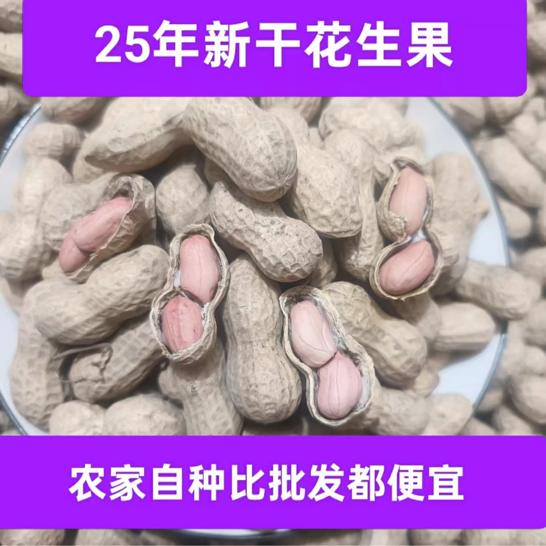 2025年精选新货大颗粒带壳新鲜干花生