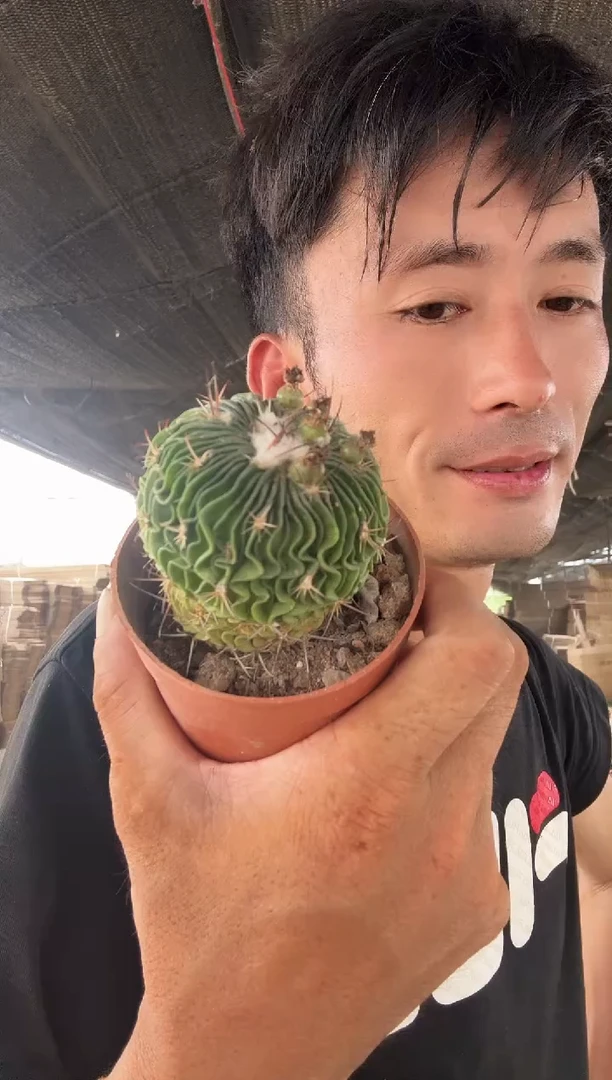 星巴克============