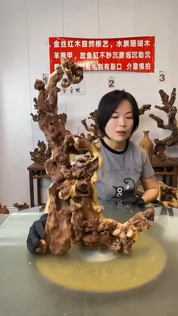 香榧木东****电金丝红木 羊蹄甲