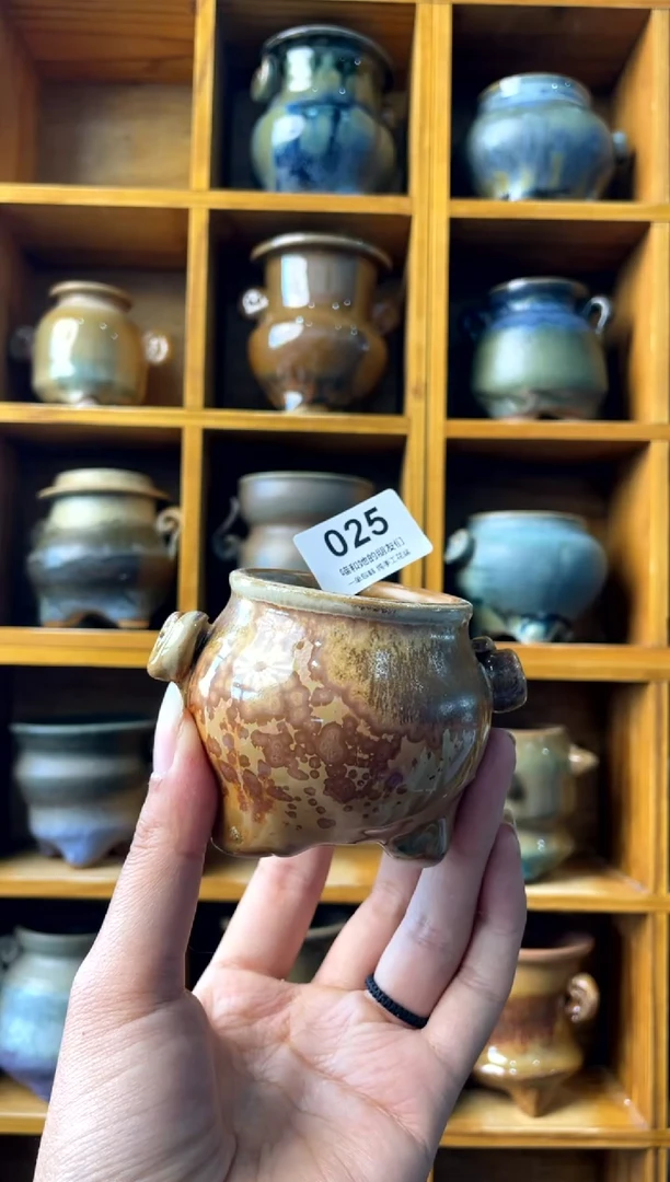 025【多肉花盆多肉盆】