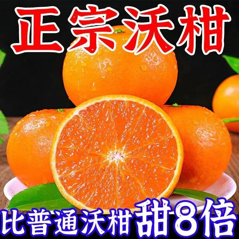 正宗云南高原宾川沃柑新鲜现采爆甜多汁海拔2400米以上果园直发
