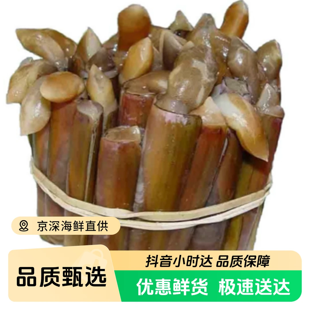 鲜活小竹节蛏  竹蛏子（500g一份）