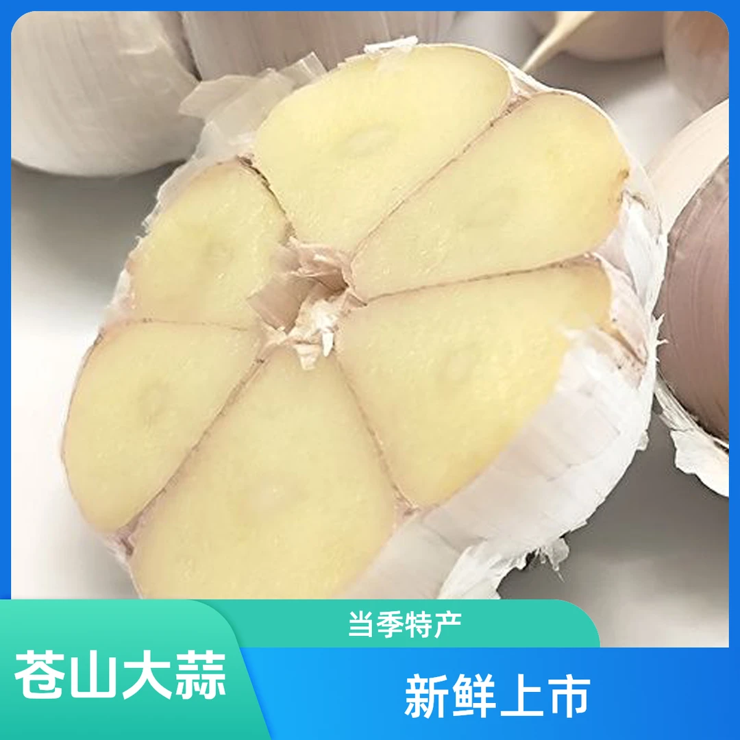 2025年优选山东苍山农家当季新鲜晒干大果大蒜当季大蒜一斤包邮