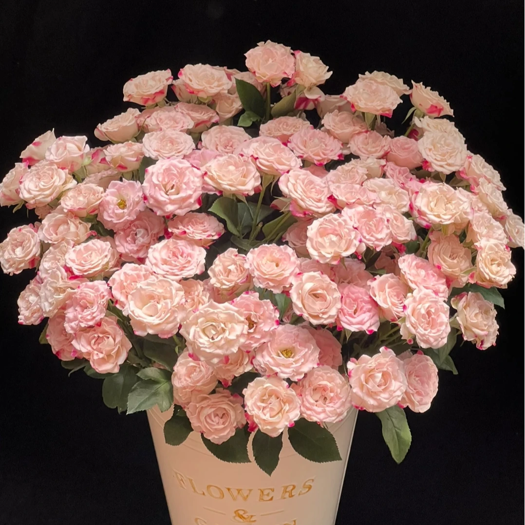 折射泡泡云南基地直发新鲜采摘鲜花家用花束