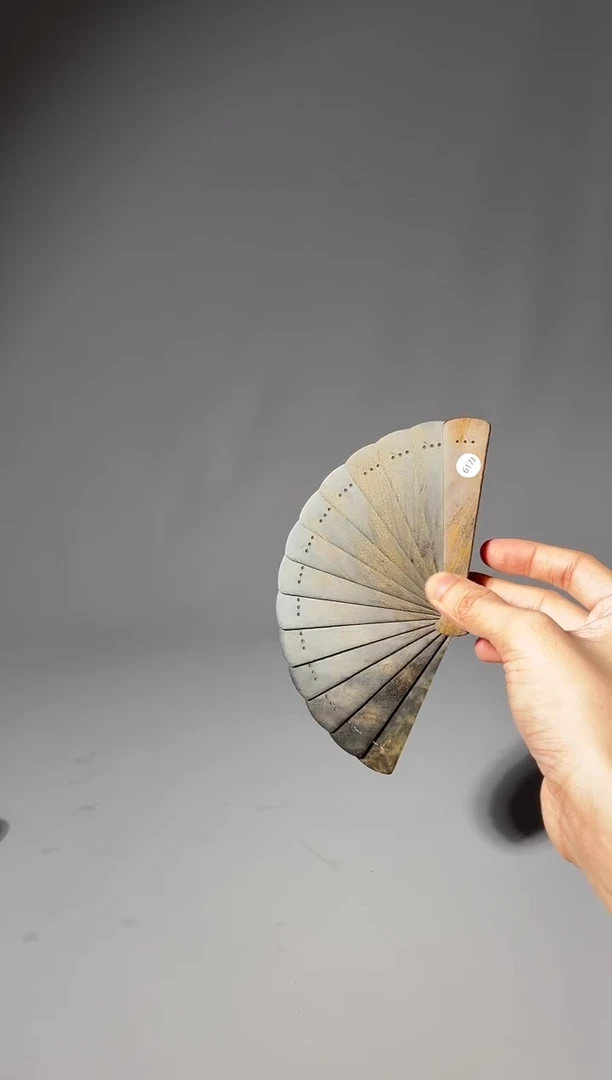 其他楠木（金丝楠）无**虑617号10cm小叶桢楠掌中扇