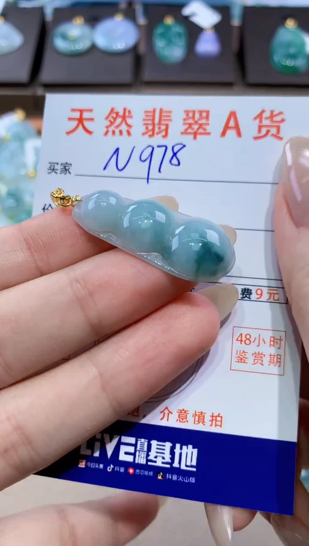 颈饰未镶嵌翡翠天然缅甸翡翠A货挂件