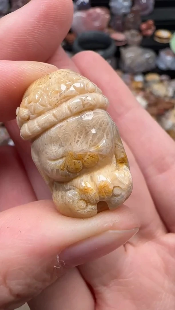 颈饰未镶嵌硅化珊瑚（珊瑚玉）260