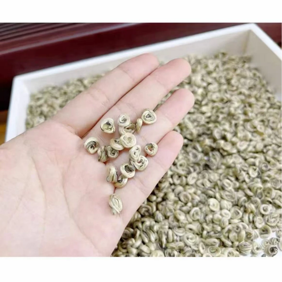 【8窨贡品玉螺王】茉莉白雪玉螺新茶浓香耐泡回甘回甜全芽茉莉花茶