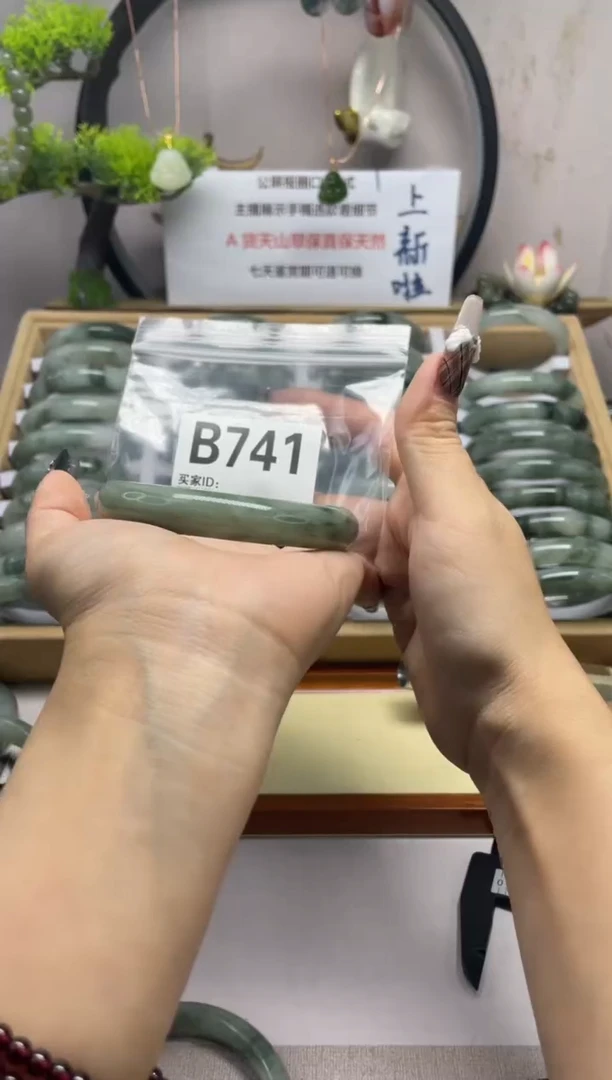 【闪购商品】石英质玉（天山翠）手镯未镶嵌b741