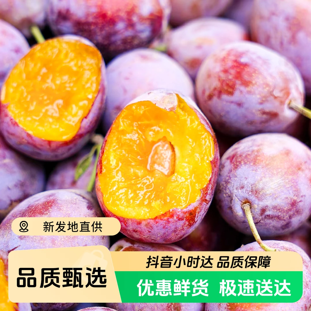 【新融品质】“吉制”智利进口新鲜西梅 爆汁香甜