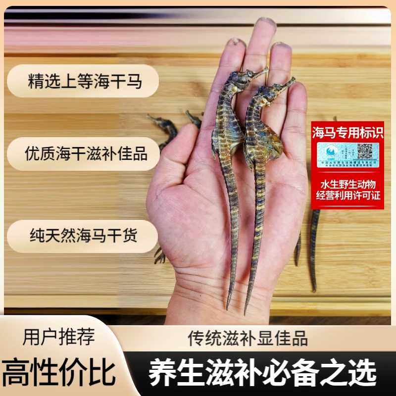 【正品溯源】精选海干马足干新鲜晾晒煲汤汤料滋补海马泡酒专用