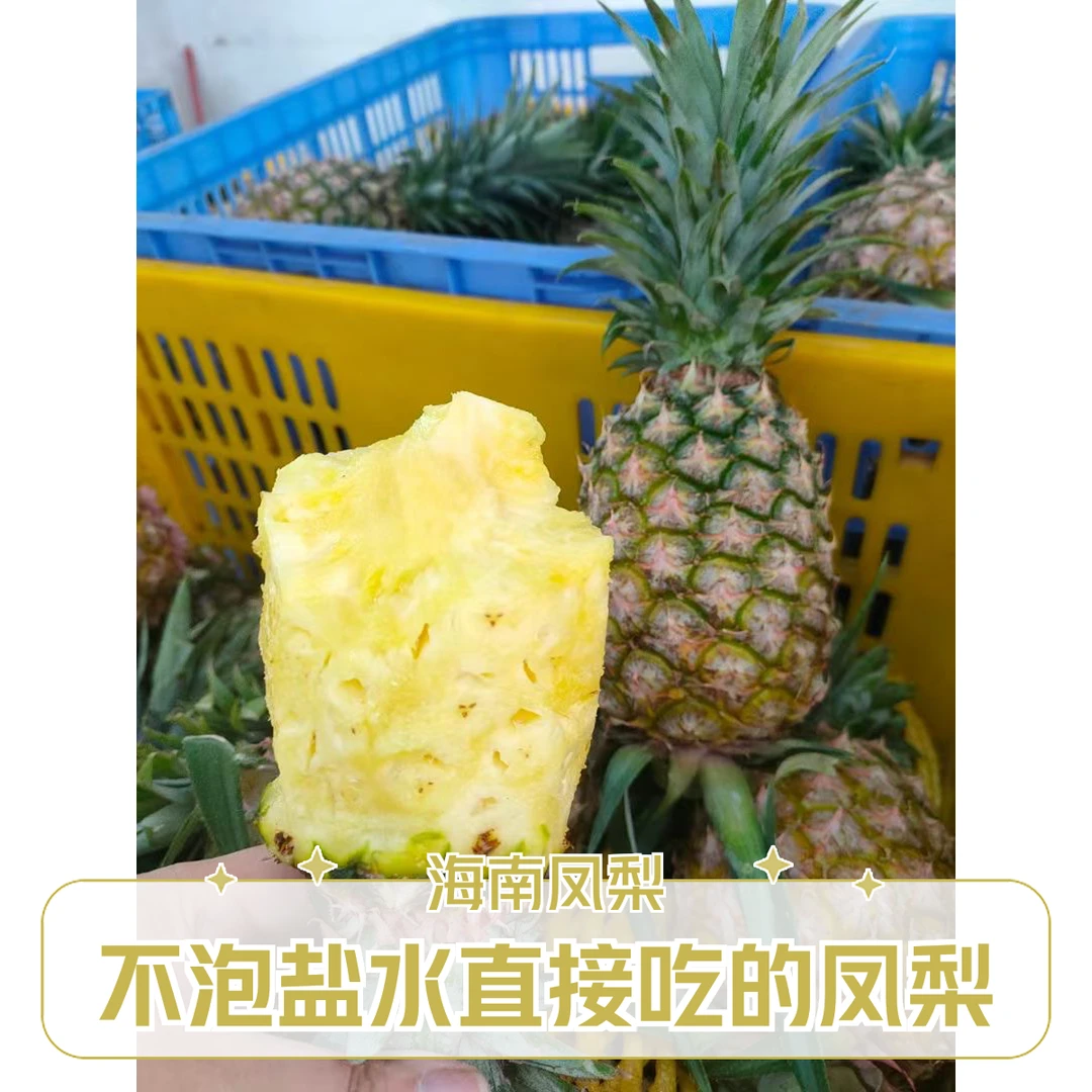 海南凤梨鲜甜多汁不泡盐水新鲜现摘果园直发3斤5斤8斤包邮