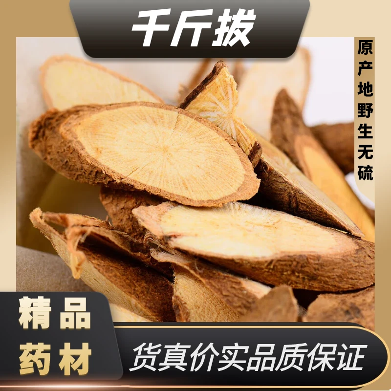 野生中药材千金拔千斤拨一条根老鼠尾吊马桩金牛尾钻地风黄芪煲汤