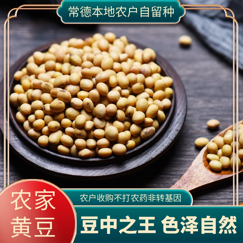 黄豆常德港中坪农家自种黄豆