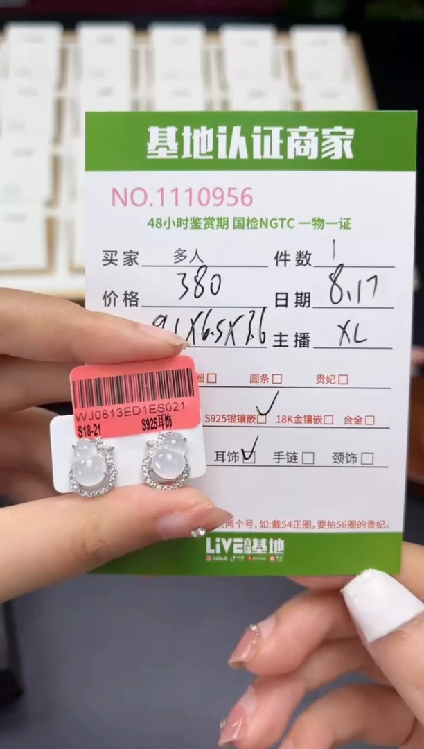 翡翠银S925镶嵌耳钉多人