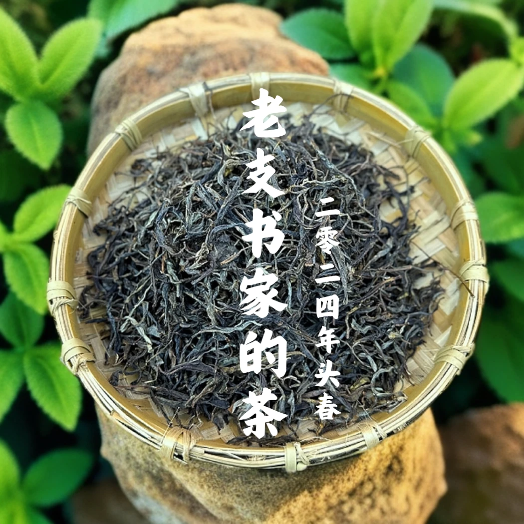【支书严选】2024年 邦旭 老支书的古树茶 普洱生茶散茶