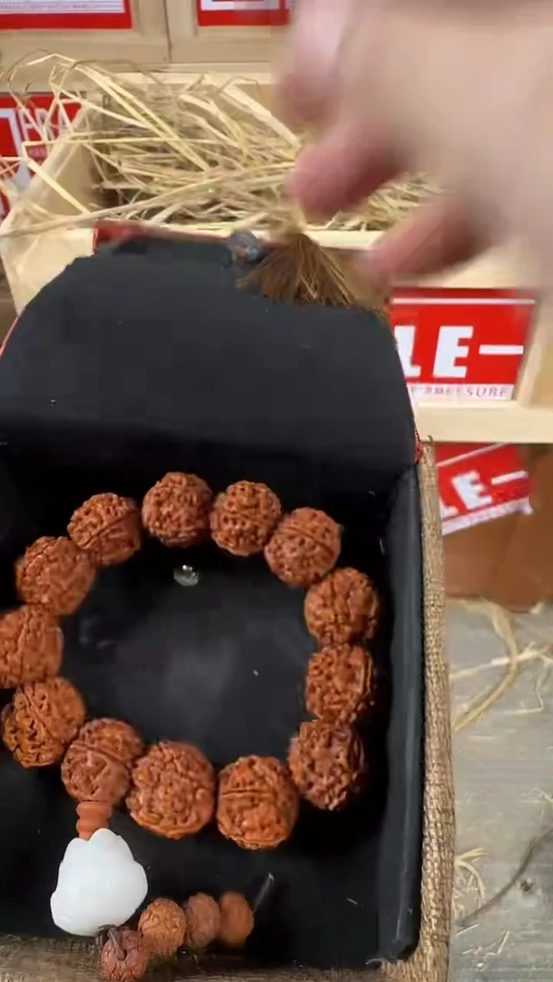 手串菩提根/象牙果金刚菩提