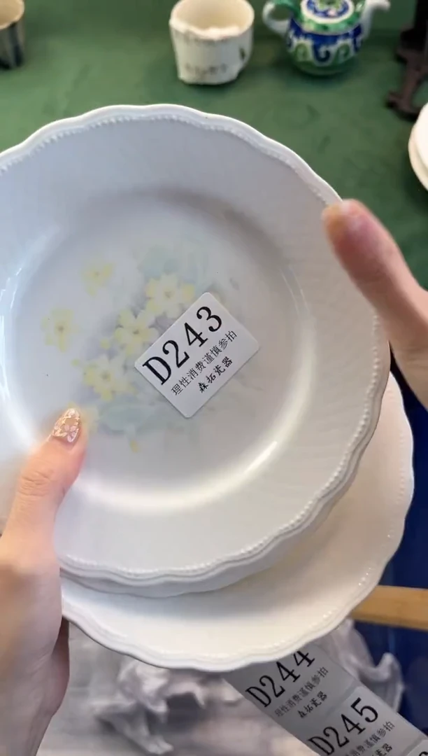 【闪购商品】瓷片          D243