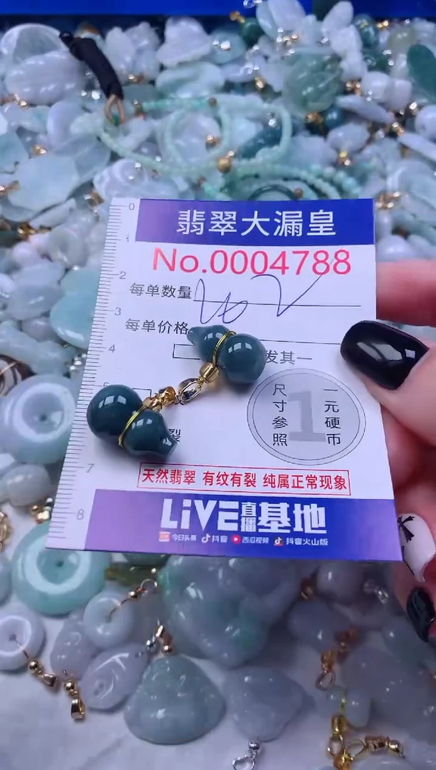 颈饰未镶嵌翡翠4788