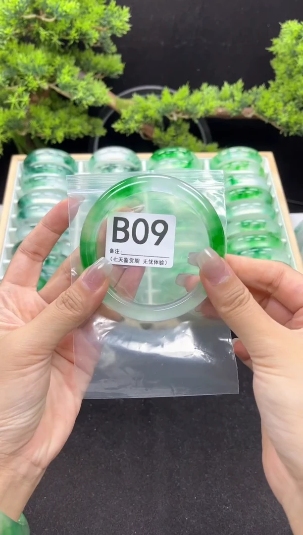 石英岩玉手镯未镶嵌B09