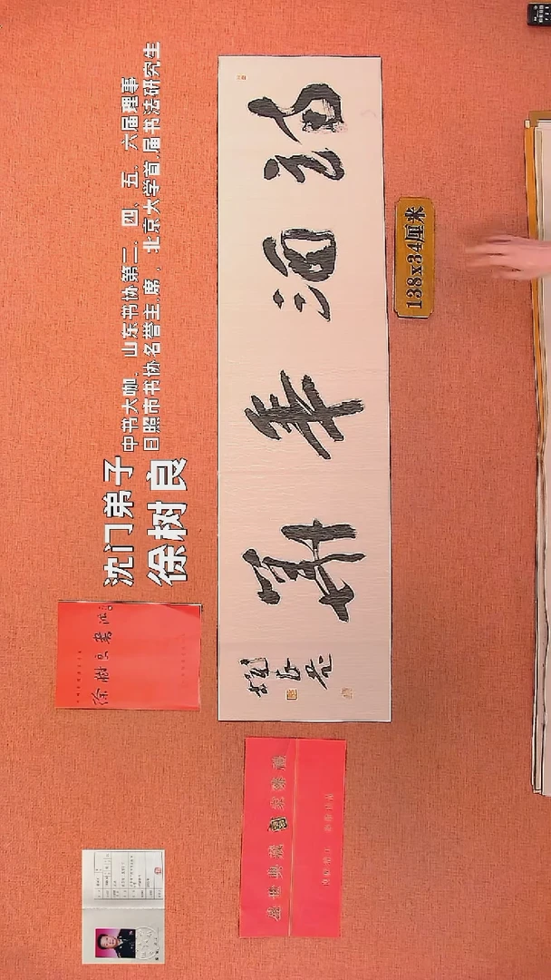 【闪购商品】书法89        徐树良书法作品