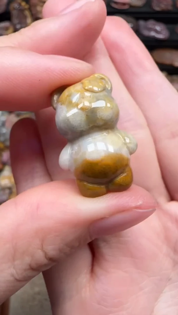 颈饰未镶嵌硅化珊瑚（珊瑚玉）791