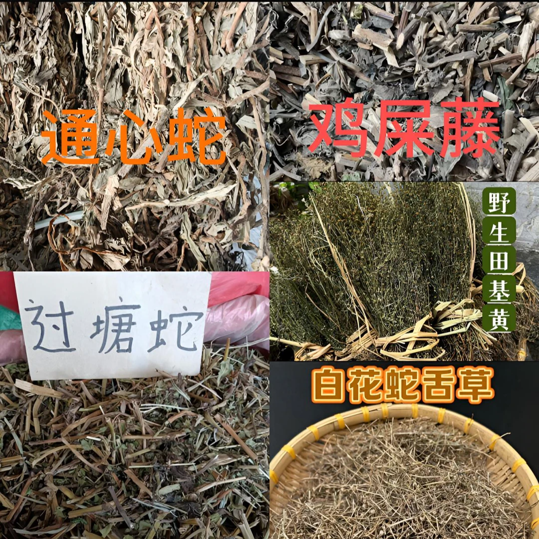 【金蛇缠腰五件套】通心蛇过塘蛇田基黄等五种料煮水擦洗