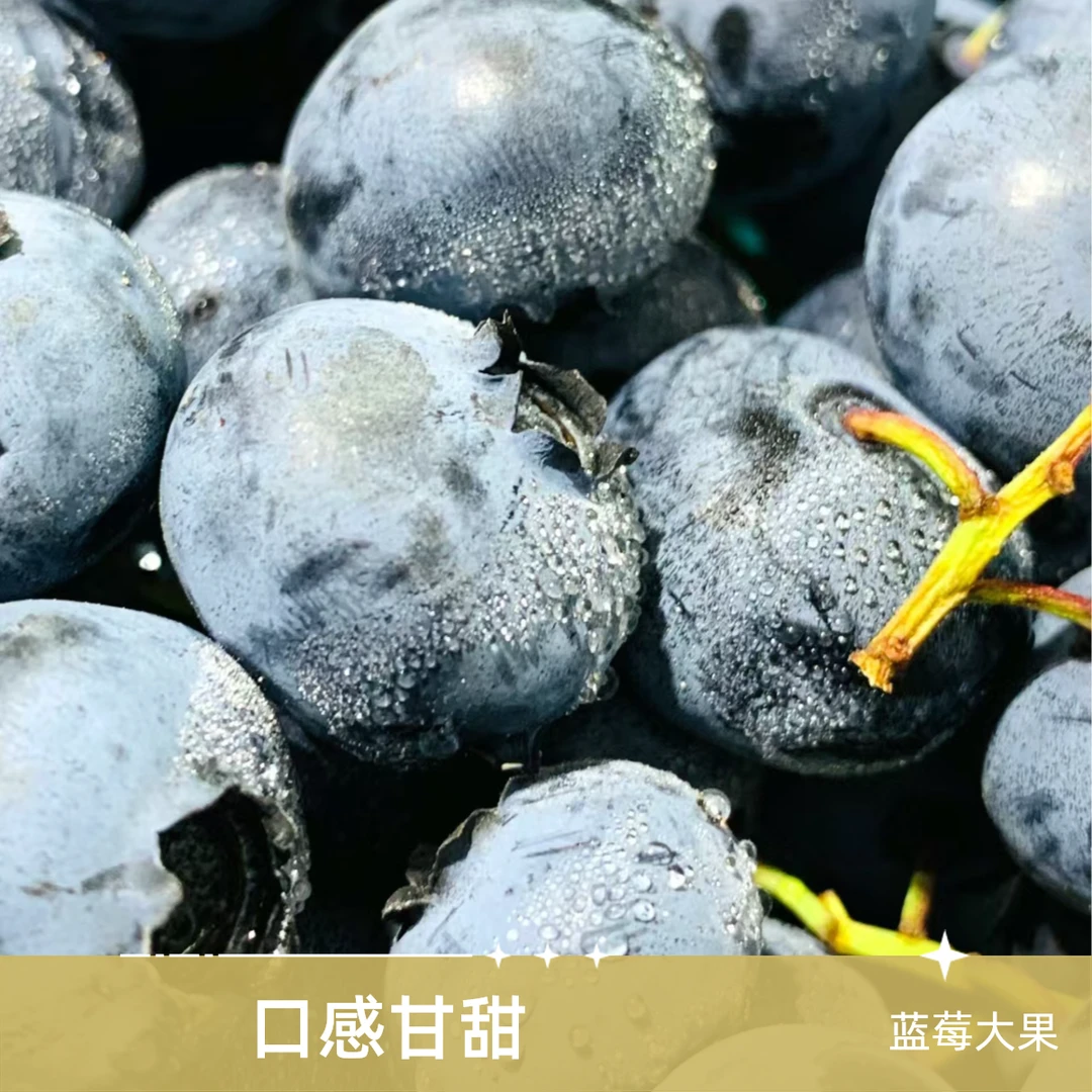【大表姐推荐】蓝莓大果一盒（看得见新鲜）150g