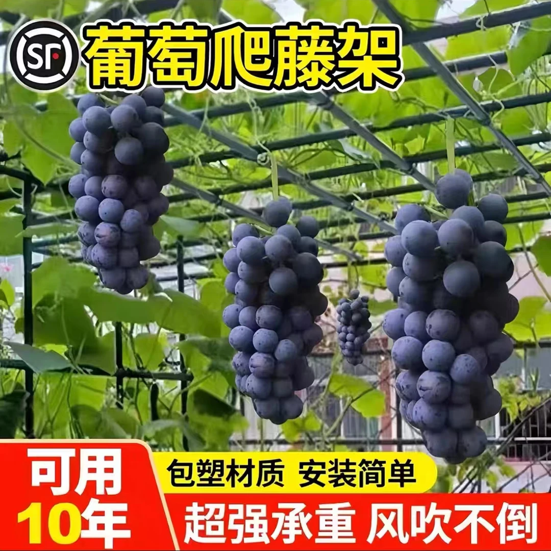 户外庭院葡萄组装支架苦瓜丝瓜攀爬架葫芦百香果铁线莲园艺支撑架