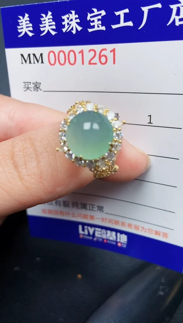 翡翠银S925镶嵌颈饰1261