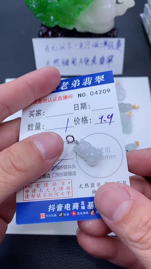 颈饰银S925镶嵌翡翠多样性发其中一件