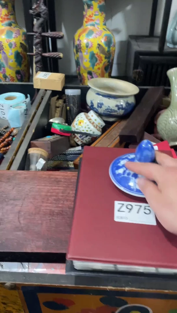 瓷片主播推荐精选好物