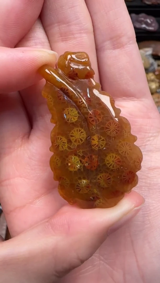颈饰未镶嵌硅化珊瑚（珊瑚玉）359