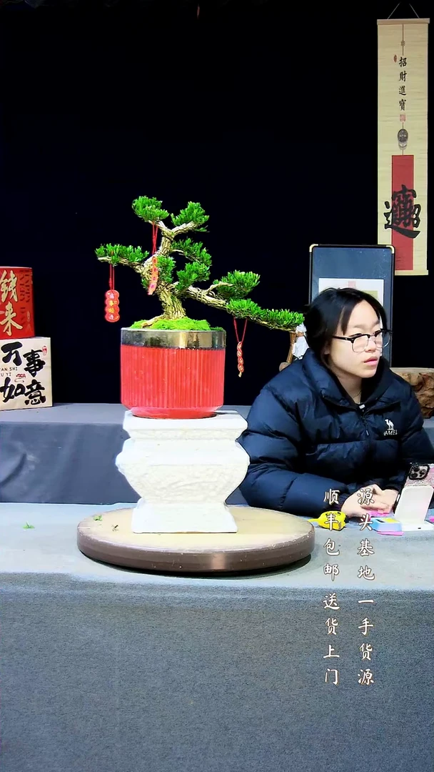 【闪购商品】雀舌黄杨盆景雀舌黄杨盆景