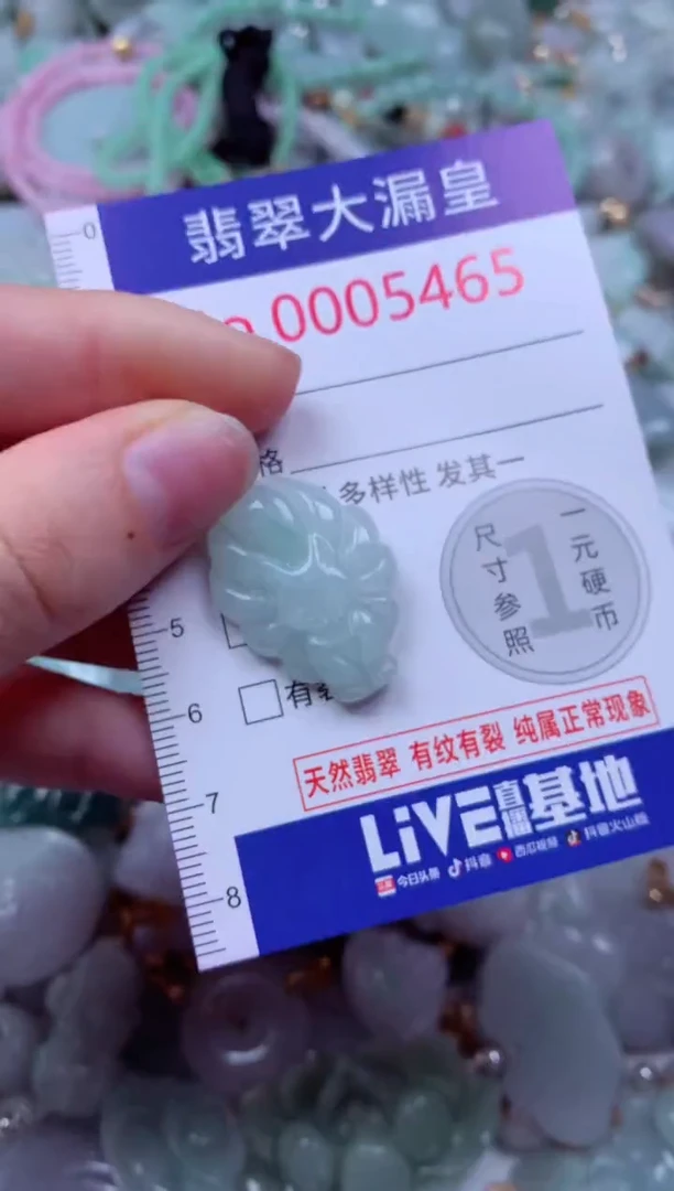 吊坠(不含链)未镶嵌翡翠5465